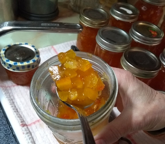 Marmelade citrouille